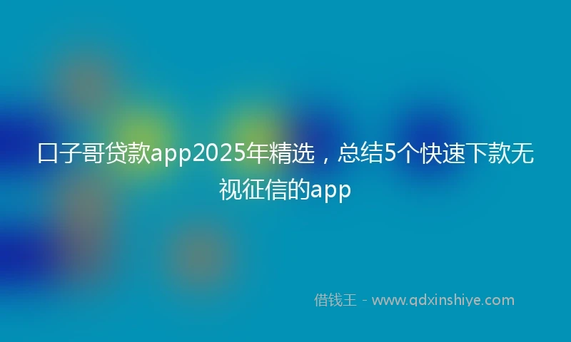 口子哥贷款app2025年精选，总结5个快速下款无视征信的app