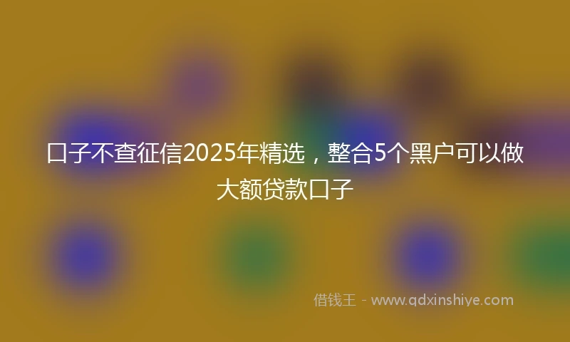 口子不查征信2025年精选，整合5个黑户可以做大额贷款口子