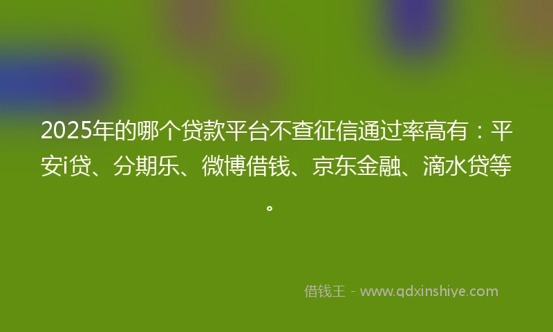 2025年的哪个贷款平台不查征信通过率高有：平安i贷、分期乐、微博借钱、京东金融、滴水贷等。