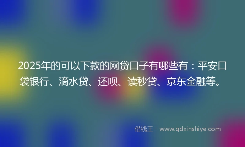 2025年的可以下款的网贷口子有哪些有：平安口袋银行、滴水贷、还呗、读秒贷、京东金融等。