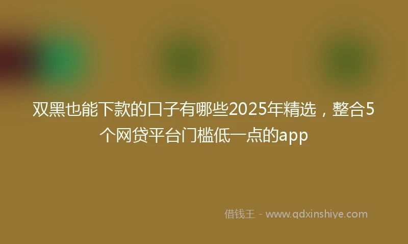 双黑也能下款的口子有哪些2025年精选，整合5个网贷平台门槛低一点的app