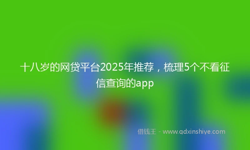 十八岁的网贷平台2025年推荐，梳理5个不看征信查询的app