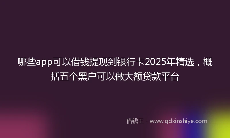 哪些app可以借钱提现到银行卡2025年精选，概括五个黑户可以做大额贷款平台