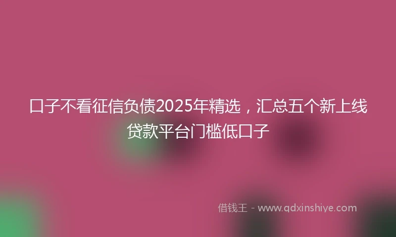 口子不看征信负债2025年精选，汇总五个新上线贷款平台门槛低口子