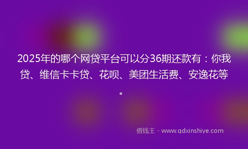 2025年的哪个网贷平台可以分36期还款有：你我贷、维信卡卡贷、花呗、美团生活费、安逸花等。