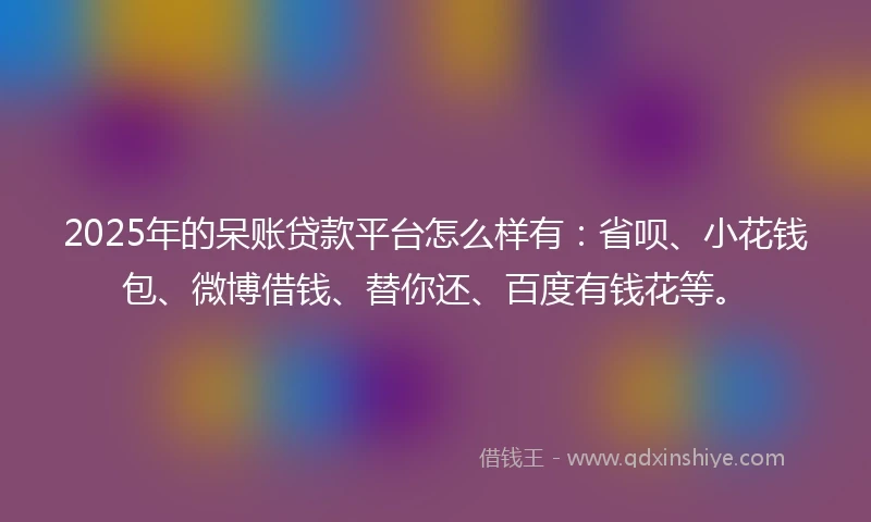 2025年的呆账贷款平台怎么样有：省呗、小花钱包、微博借钱、替你还、百度有钱花等。