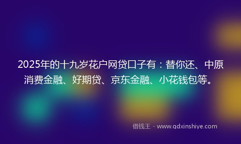 2025年的十九岁花户网贷口子有：替你还、中原消费金融、好期贷、京东金融、小花钱包等。