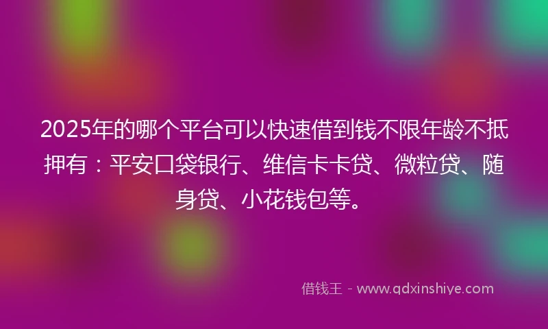 2025年的哪个平台可以快速借到钱不限年龄不抵押有：平安口袋银行、维信卡卡贷、微粒贷、随身贷、小花钱包等。