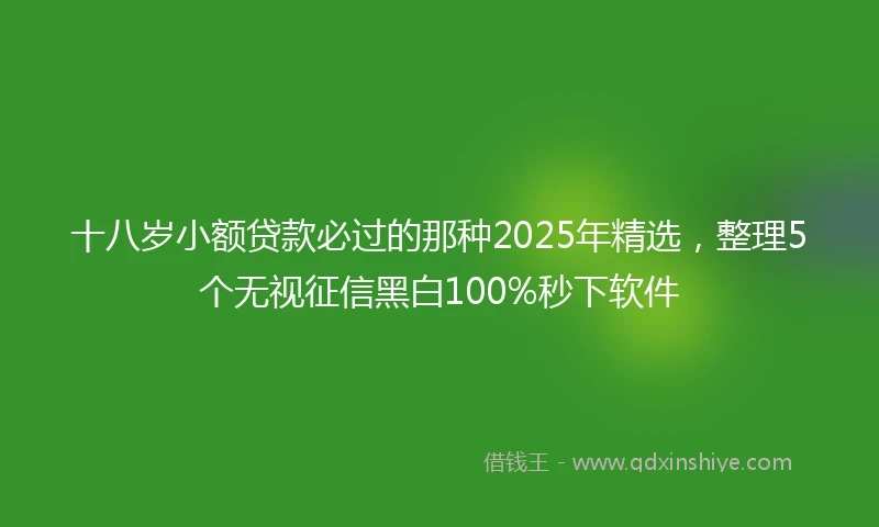 十八岁小额贷款必过的那种2025年精选，整理5个无视征信黑白100%秒下软件