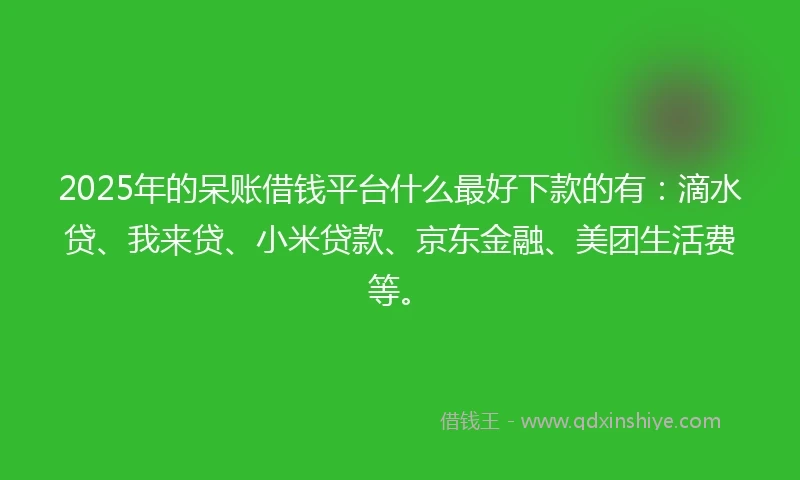 2025年的呆账借钱平台什么最好下款的有：滴水贷、我来贷、小米贷款、京东金融、美团生活费等。