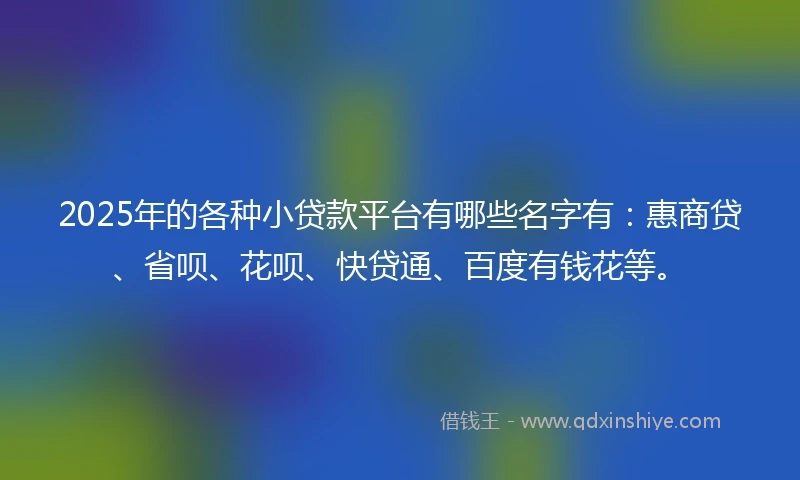 2025年的各种小贷款平台有哪些名字有：惠商贷、省呗、花呗、快贷通、百度有钱花等。