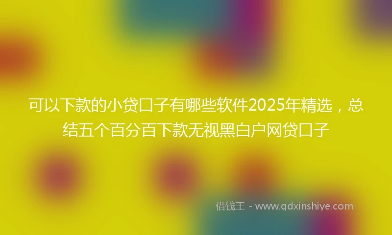 可以下款的小贷口子有哪些软件2025年精选，总结五个百分百下款无视黑白户网贷口子
