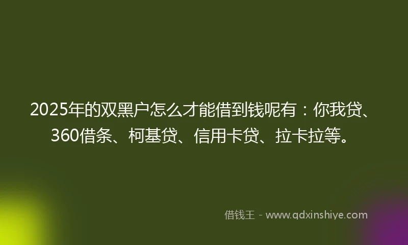 2025年的双黑户怎么才能借到钱呢有：你我贷、360借条、柯基贷、信用卡贷、拉卡拉等。