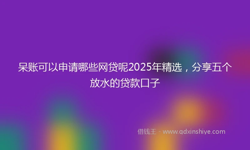 呆账可以申请哪些网贷呢2025年精选，分享五个放水的贷款口子