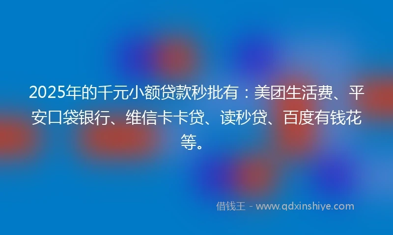 2025年的千元小额贷款秒批有：美团生活费、平安口袋银行、维信卡卡贷、读秒贷、百度有钱花等。