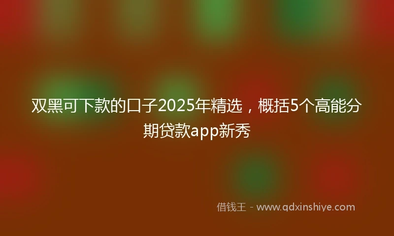 双黑可下款的口子2025年精选，概括5个高能分期贷款app新秀