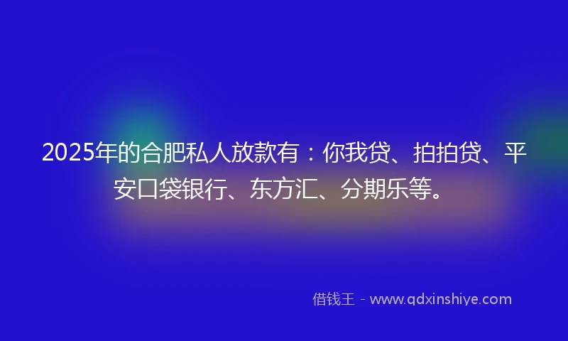2025年的合肥私人放款有：你我贷、拍拍贷、平安口袋银行、东方汇、分期乐等。