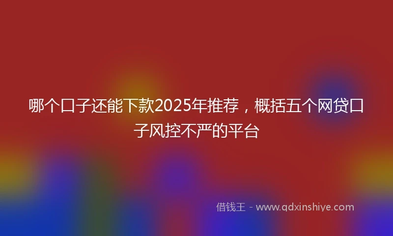 哪个口子还能下款2025年推荐，概括五个网贷口子风控不严的平台