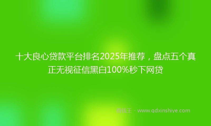 十大良心贷款平台排名2025年推荐,盘点五个真正无视征信黑白100%秒下网贷