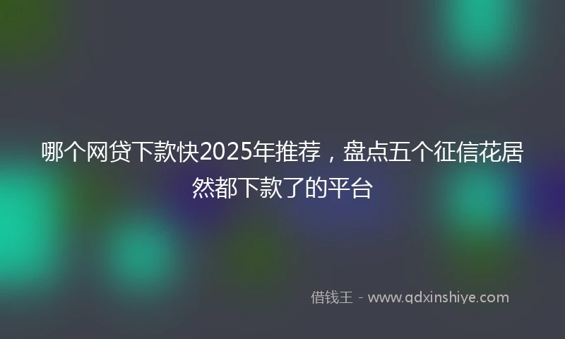 哪个网贷下款快2025年推荐,盘点五个征信花居然都下款了的平台