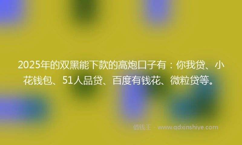 2025年的双黑能下款的高炮口子有：你我贷、小花钱包、51人品贷、百度有钱花、微粒贷等。