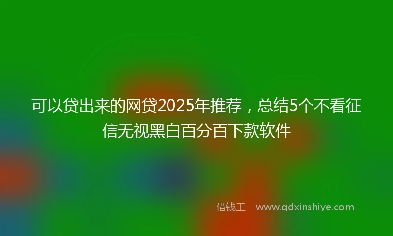 可以贷出来的网贷2025年推荐，总结5个不看征信无视黑白百分百下款软件