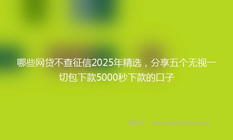 哪些网贷不查征信2025年精选，分享五个无视一切包下款5000秒下款的口子