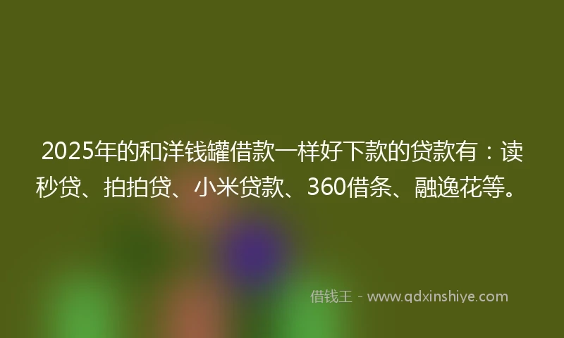2025年的和洋钱罐借款一样好下款的贷款有：读秒贷、拍拍贷、小米贷款、360借条、融逸花等。