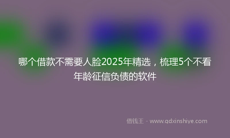 哪个借款不需要人脸2025年精选，梳理5个不看年龄征信负债的软件