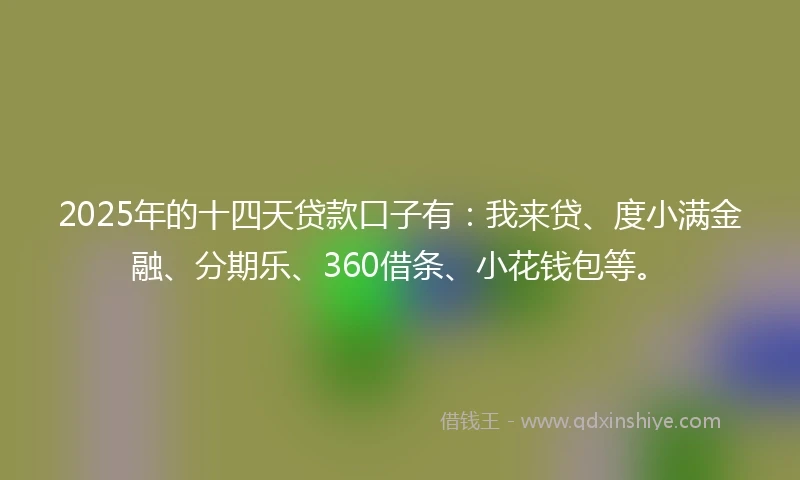 2025年的十四天贷款口子有：我来贷、度小满金融、分期乐、360借条、小花钱包等。