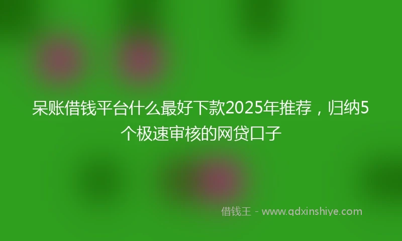 呆账借钱平台什么最好下款2025年推荐，归纳5个极速审核的网贷口子