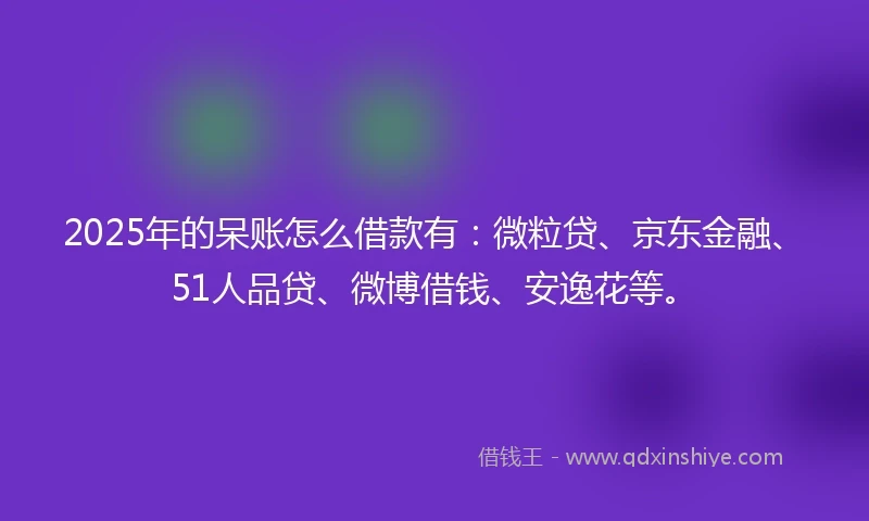 2025年的呆账怎么借款有：微粒贷、京东金融、51人品贷、微博借钱、安逸花等。