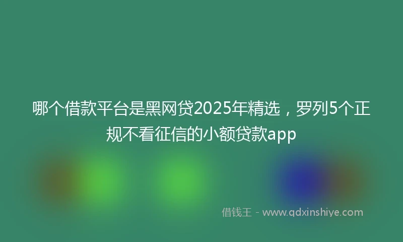 哪个借款平台是黑网贷2025年精选，罗列5个正规不看征信的小额贷款app
