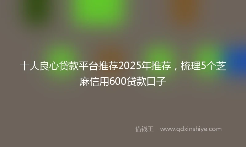 十大良心贷款平台推荐2025年推荐，梳理5个芝麻信用600贷款口子