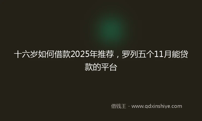 十六岁如何借款2025年推荐，罗列五个11月能贷款的平台