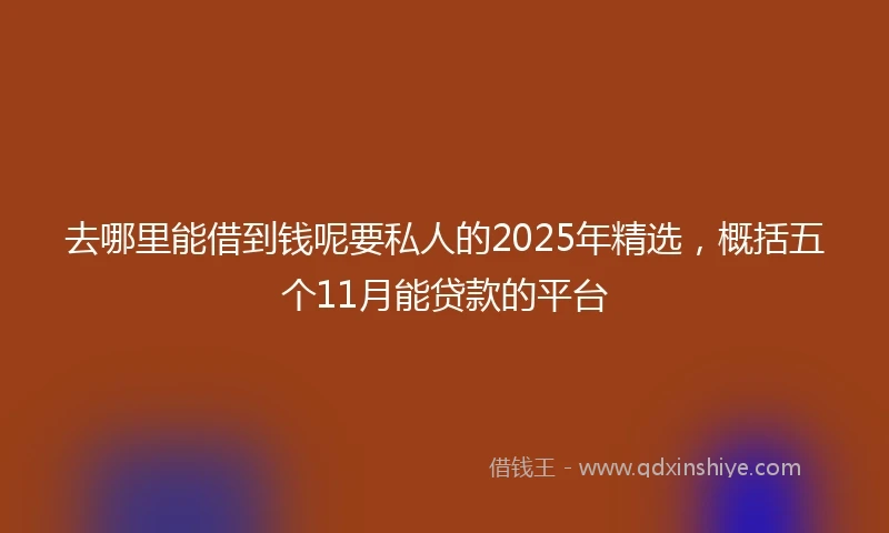 去哪里能借到钱呢要私人的2025年精选，概括五个11月能贷款的平台