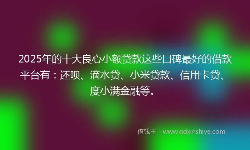 2025年的十大良心小额贷款这些口碑最好的借款平台有：还呗、滴水贷、小米贷款、信用卡贷、度小满金融等。