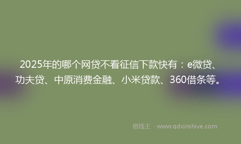 2025年的哪个网贷不看征信下款快有：e微贷、功夫贷、中原消费金融、小米贷款、360借条等。