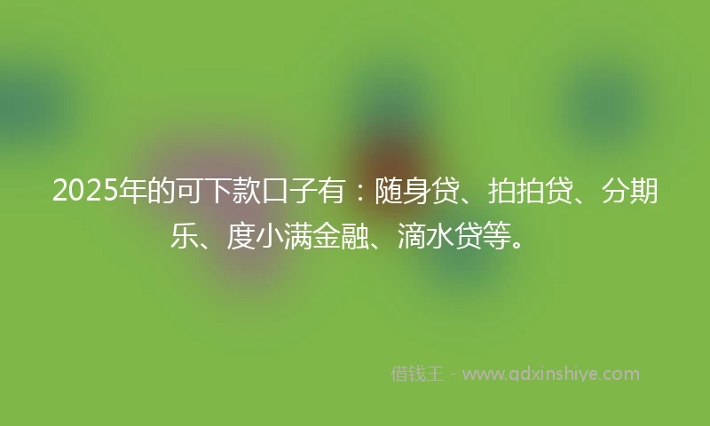 2025年的可下款口子有:随身贷、拍拍贷、分期乐、度小满金融、滴水贷等。