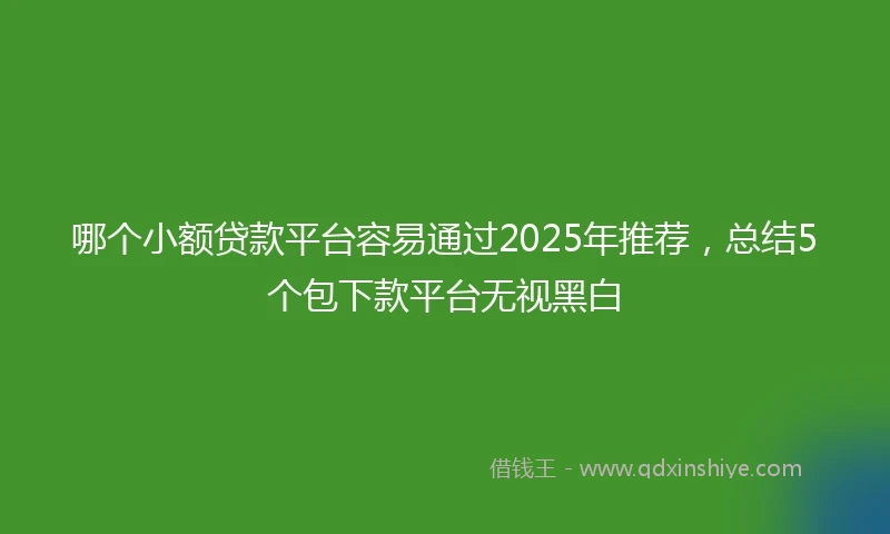 哪个小额贷款平台容易通过2025年推荐，总结5个包下款平台无视黑白