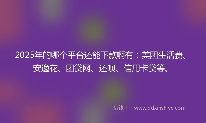 2025年的哪个平台还能下款啊有：美团生活费、安逸花、团贷网、还呗、信用卡贷等。
