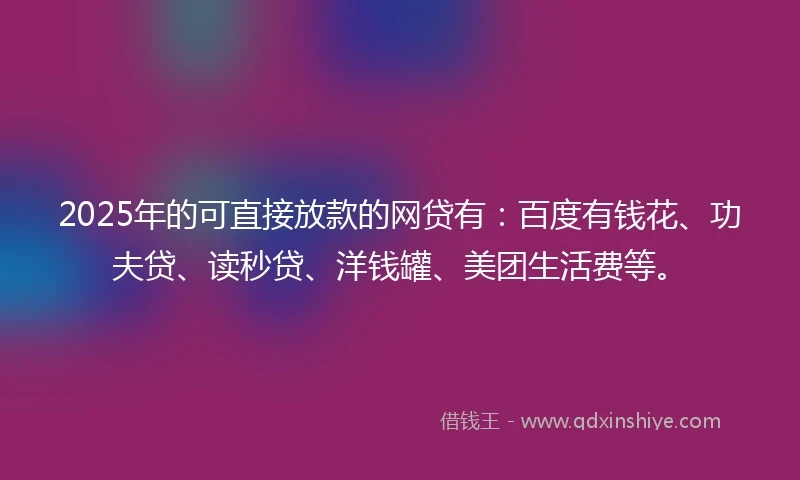 2025年的可直接放款的网贷有：百度有钱花、功夫贷、读秒贷、洋钱罐、美团生活费等。