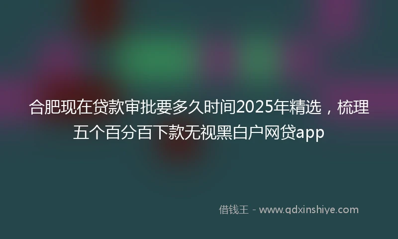 合肥现在贷款审批要多久时间2025年精选，梳理五个百分百下款无视黑白户网贷app