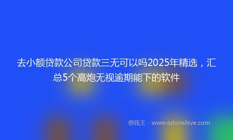 去小额贷款公司贷款三无可以吗2025年精选，汇总5个高炮无视逾期能下的软件