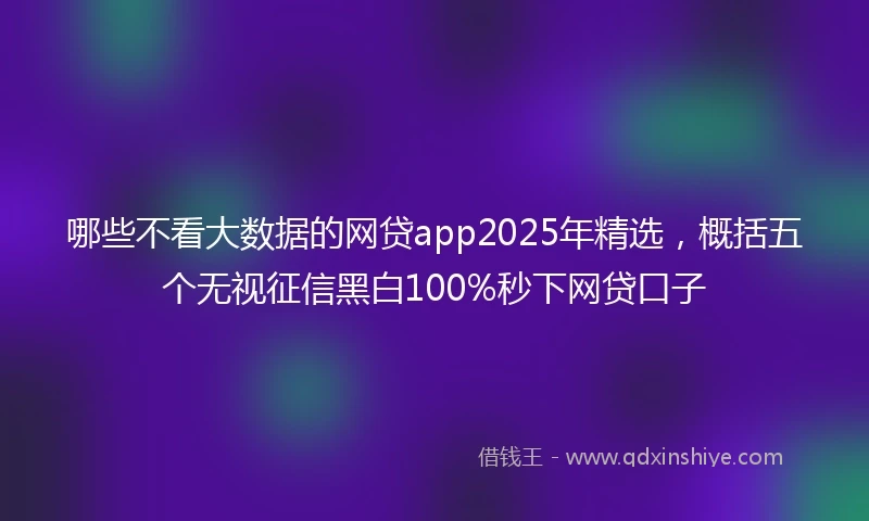 哪些不看大数据的网贷app2025年精选，概括五个无视征信黑白100%秒下网贷口子