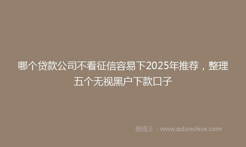 哪个贷款公司不看征信容易下2025年推荐，整理五个无视黑户下款口子