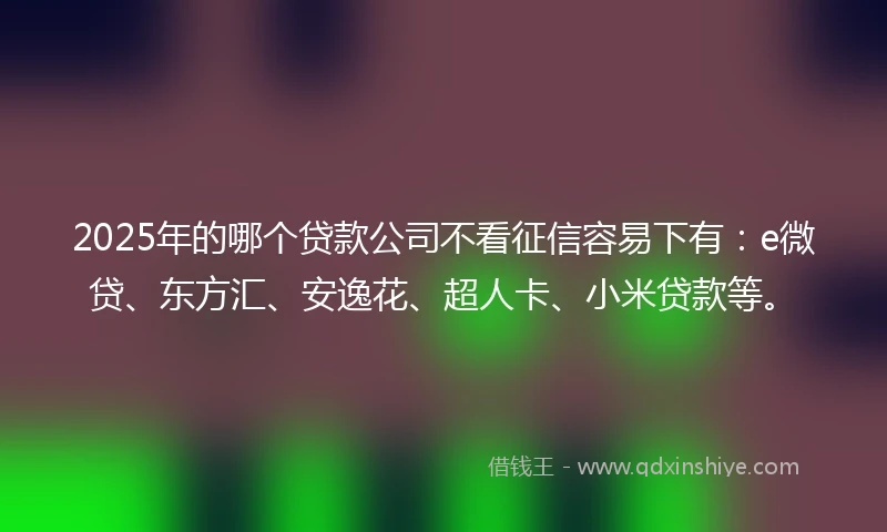 2025年的哪个贷款公司不看征信容易下有：e微贷、东方汇、安逸花、超人卡、小米贷款等。