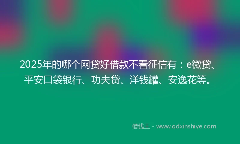 2025年的哪个网贷好借款不看征信有：e微贷、平安口袋银行、功夫贷、洋钱罐、安逸花等。