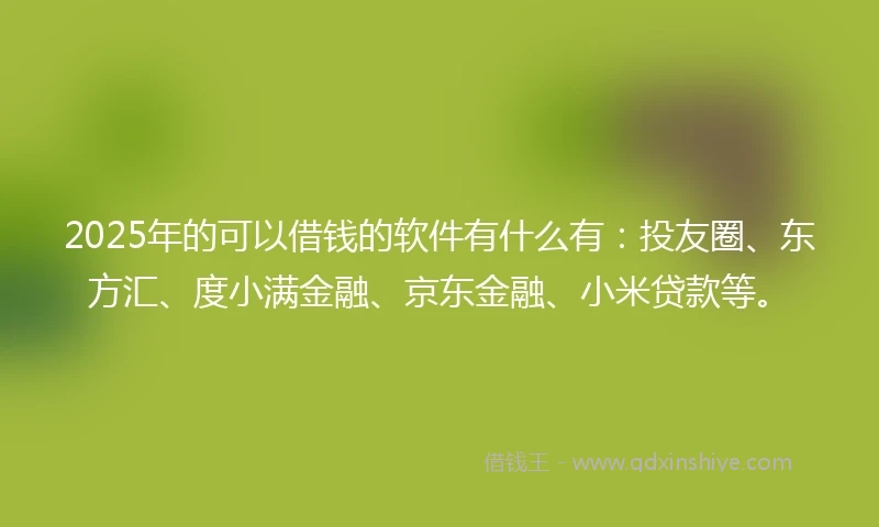 2025年的可以借钱的软件有什么有：投友圈、东方汇、度小满金融、京东金融、小米贷款等。