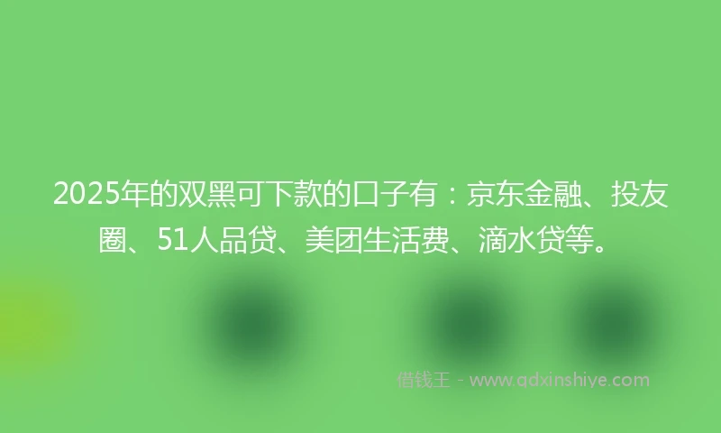 2025年的双黑可下款的口子有：京东金融、投友圈、51人品贷、美团生活费、滴水贷等。